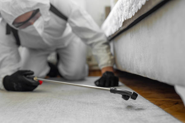 Professional Termite Control technician working in Yosemite Lakes, CA