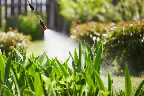 24/7 Emergency Termite Control experts in Yosemite Lakes, CA